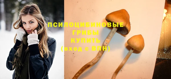 ALPHA PVP Алзамай