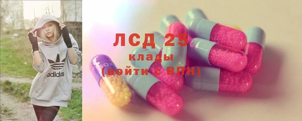 гидра Алексин