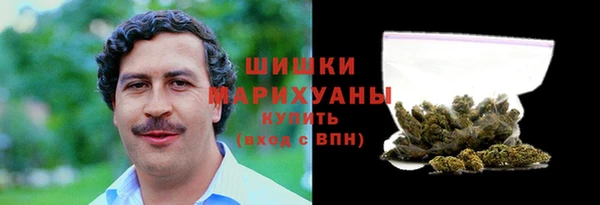 гидра Алексин