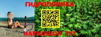 spice Тверь