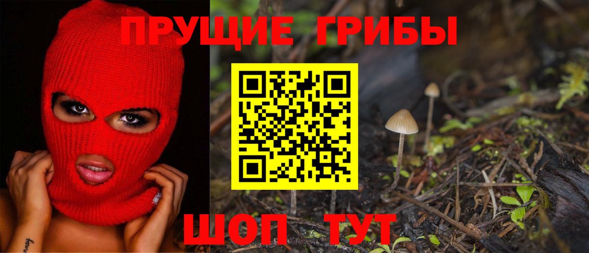 Темрюк  Галлюциногенные грибы Magic Shrooms  Вход с VPN 